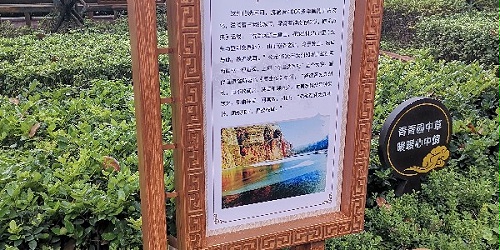 景区标识牌：拥抱传统文化，欣赏古香韵色之美！
