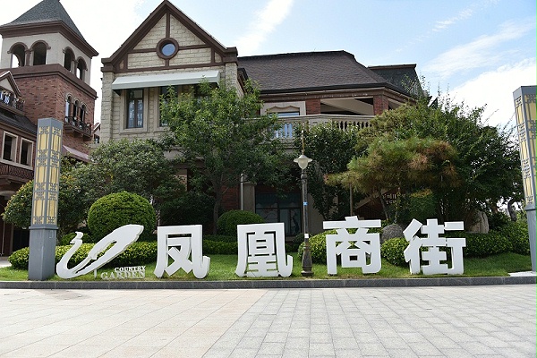 景观字-天地智远标识